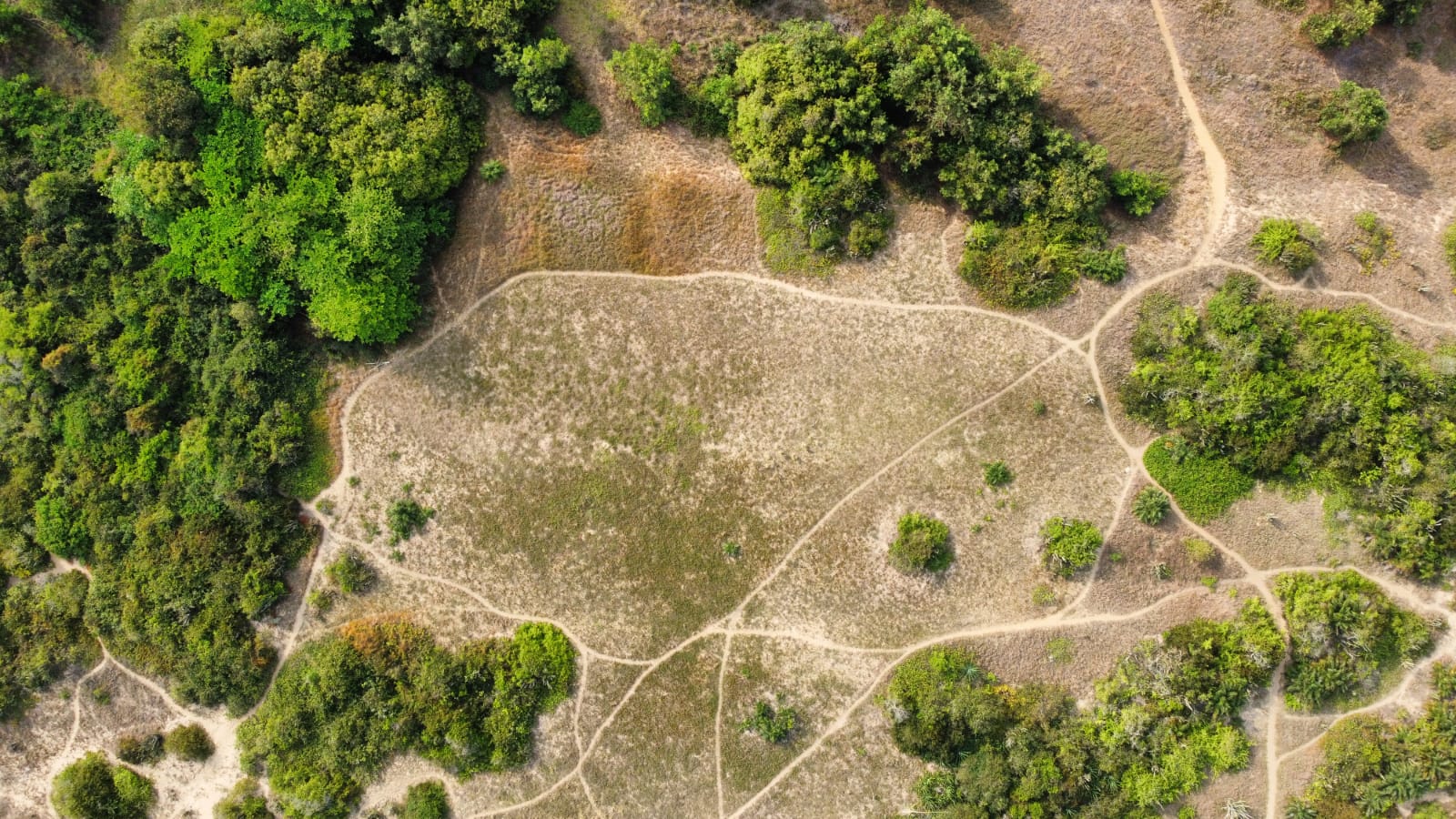 WhatsApp Image 2021-09-29 at 16.50.11.jpeg