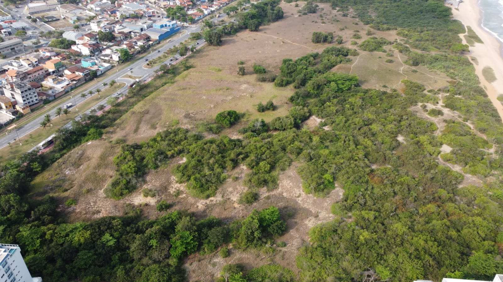 WhatsApp Image 2021-09-29 at 16.49.47.jpeg