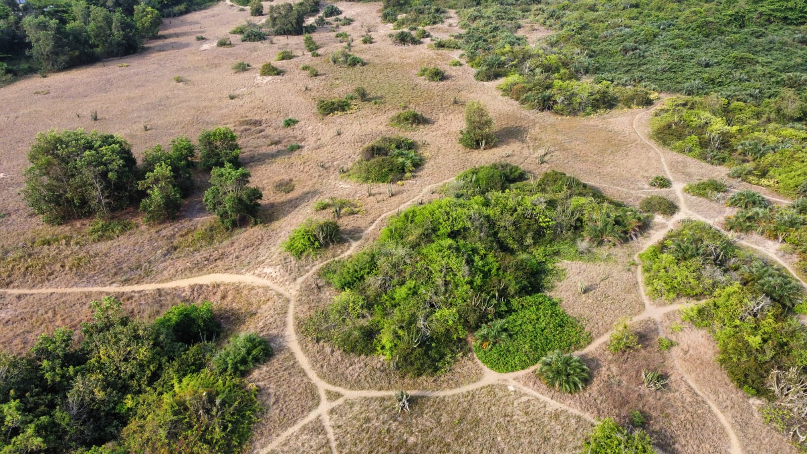 WhatsApp Image 2021-09-29 at 16.49.35.jpeg