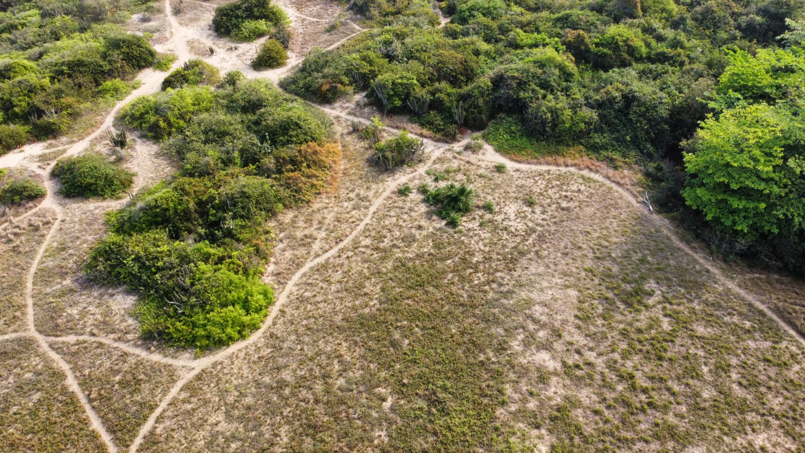 WhatsApp Image 2021-09-29 at 16.48.30.jpeg