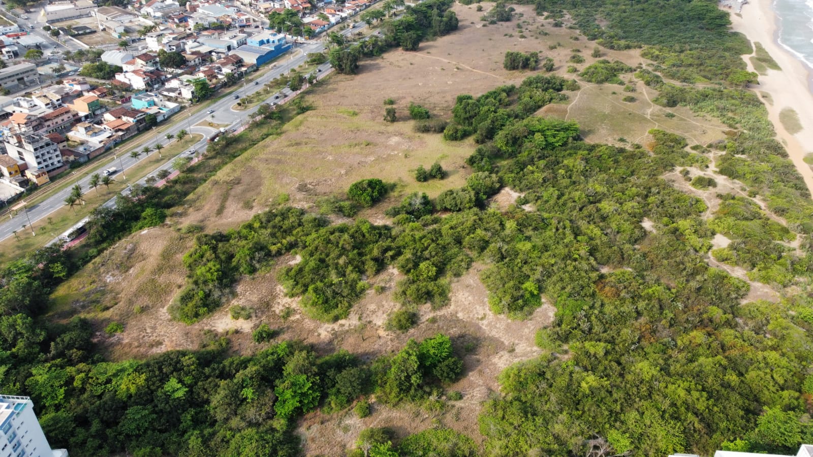 WhatsApp Image 2021-09-29 at 16.48.41.jpeg